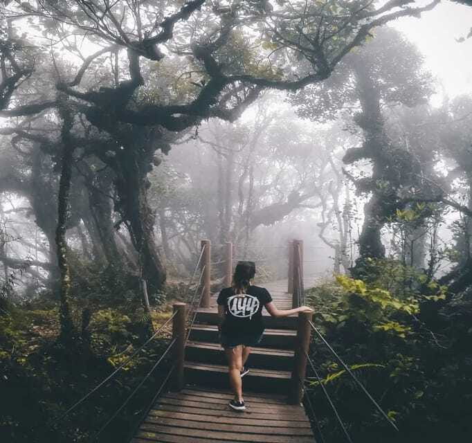 From Kuala Lumpur: Cameron Highlands Day Trip with Transfers - Who should book this private day trip