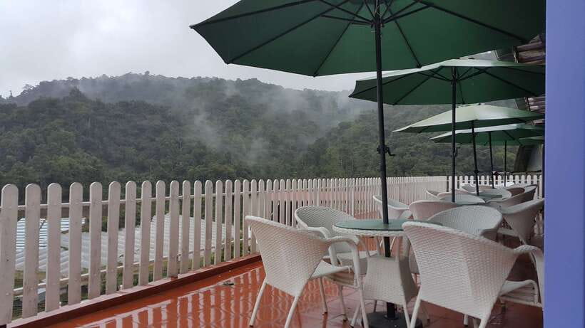 From Kuala Lumpur: Cameron Highlands Full-Day Tour - Lata Iskandar Waterfall: a good first stop