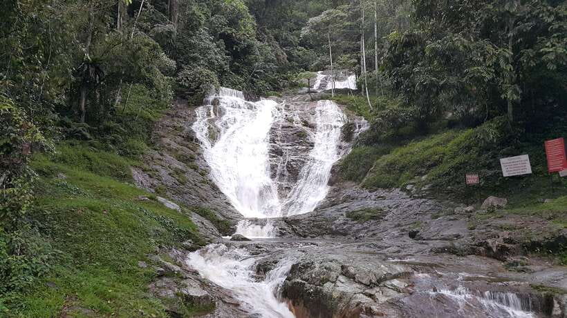 From Kuala Lumpur: Cameron Highlands Full-Day Tour - Rose Valley: colorful, pleasant, and commercial
