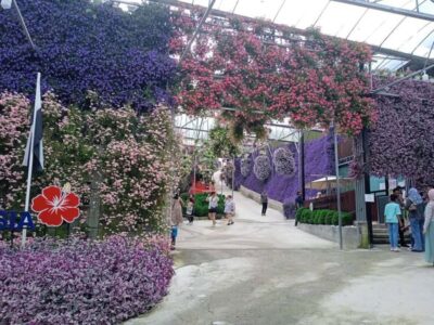 Cameron Highlands Private or Join In Tour