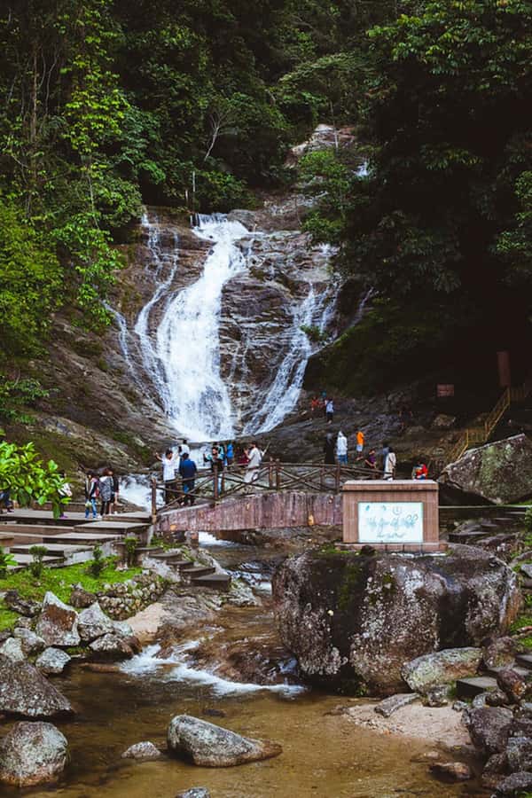 From Kuala Lumpur: Cameron Highlands Private or Join In Tour - Butterfly Farm, bee farm, and cactus stop