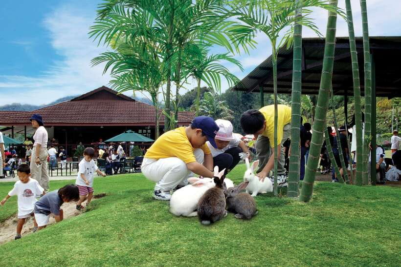 From Kuala Lumpur: Colmar Tropicale and Batu Caves Day Trip - Key points at a glance