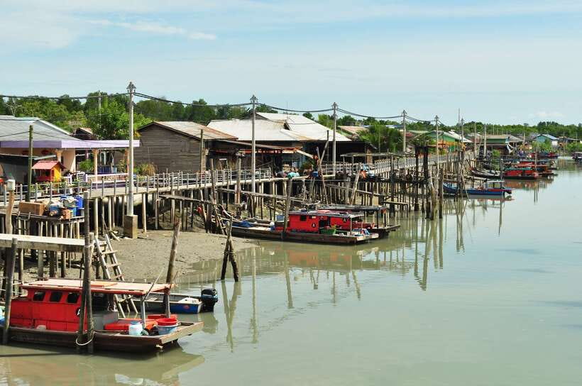 From Kuala Lumpur: Crab Island Tour with Seafood Lunch - Who will enjoy this half-day outing?