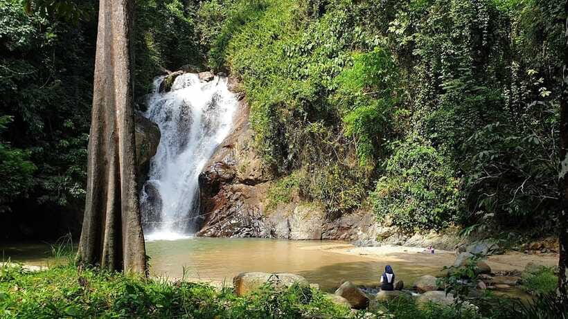 From Kuala Lumpur: Elephant Sanctuary Guided Tour - A stop at an Aboriginal settlement and optional local detours