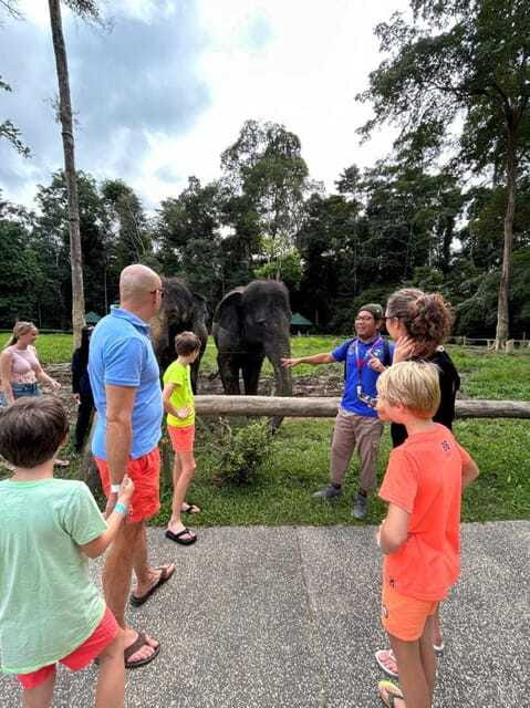 From Kuala Lumpur: Elephant Sanctuary Guided Tour - Cooling off beneath a Pahang waterfall