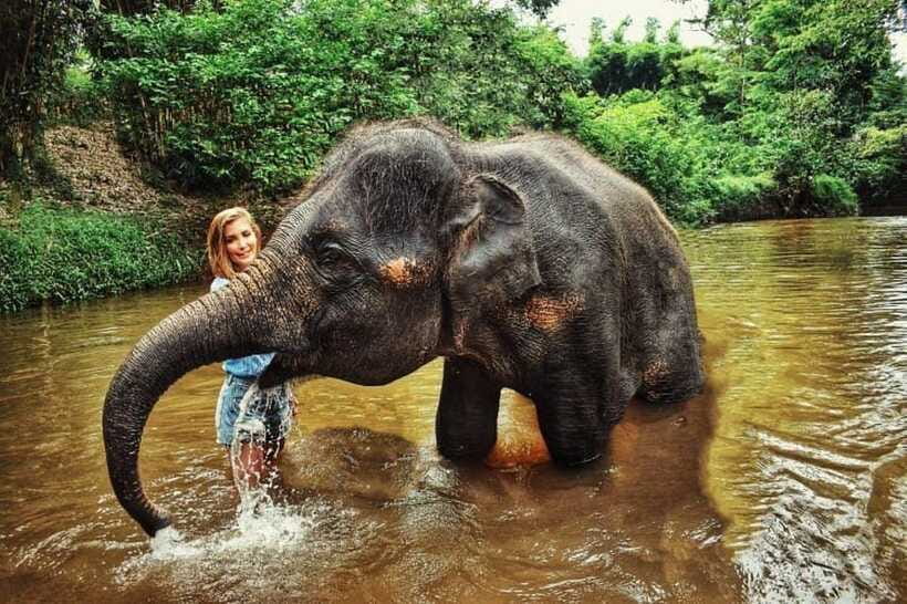 From Kuala Lumpur: Elephant Sanctuary Guided Tour - Lunch comes after the outdoor stops