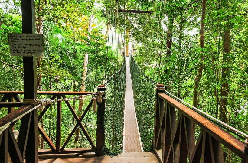 From Kuala Lumpur: Full-Day Taman Negara National Park - The long road from Kuala Lumpur to the rainforest