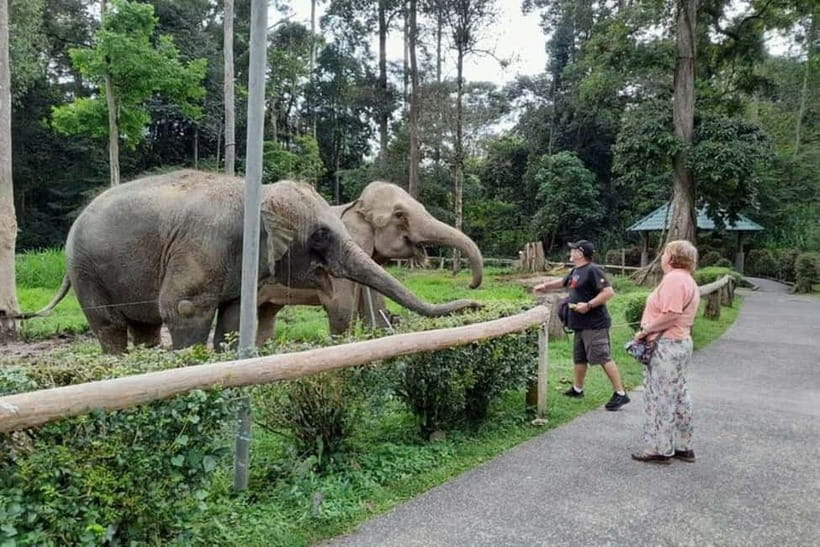 From Kuala Lumpur: Kuala Gandah & Batu Caves Day Trip - Should you book Kuala Gandah and Batu Caves?