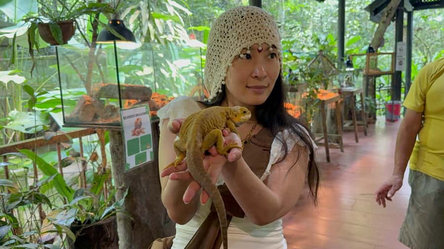 From Kuala Lumpur: Kuala Gandah Elephant Sanctuary Day Trip - Kuala Gandah explains why elephant rescue matters