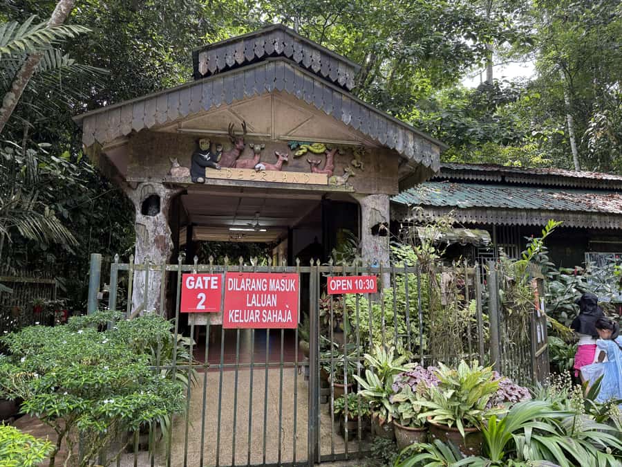 From Kuala Lumpur: Kuala Gandah Elephant Sanctuary Day Trip - Feeding elephants comes with extra choices