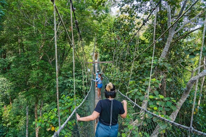 From Kuala Lumpur Taman Negara Day Trip With Lunch - Key details before you book