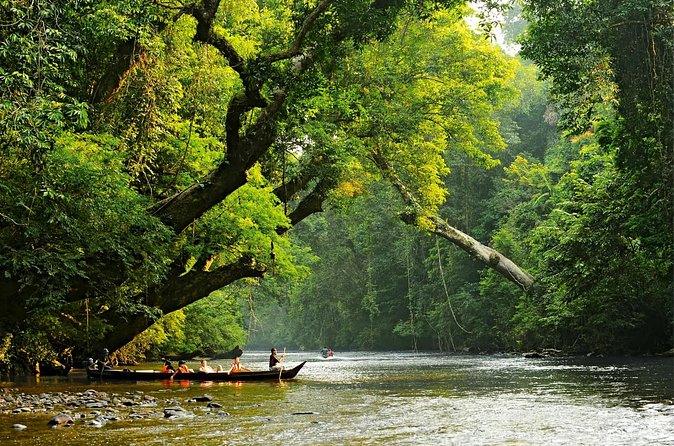 From Kuala Lumpur Taman Negara Day Trip With Lunch - Who will enjoy this demanding day