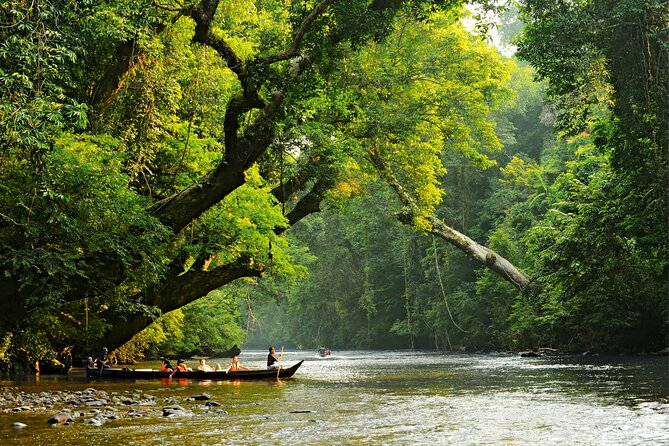 From Kuala Lumpur Taman Negara Day Trip With Lunch - Walking beneath the rainforest canopy
