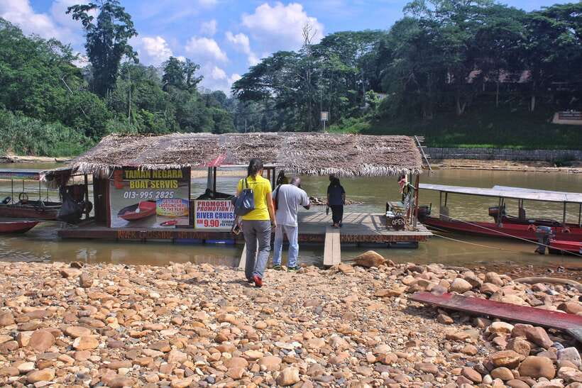 From Kuala Lumpur: Taman Negara National Park Trek Day Tour - Key points before you book