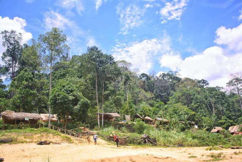 From Kuala Lumpur: Taman Negara National Park Trek Day Tour - The canopy walkway is not currently available