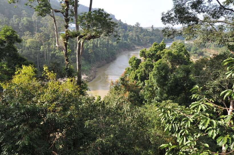 From Kuala Lumpur: Taman Negara National Park Trek Day Tour - Why this Taman Negara day trip is worth considering