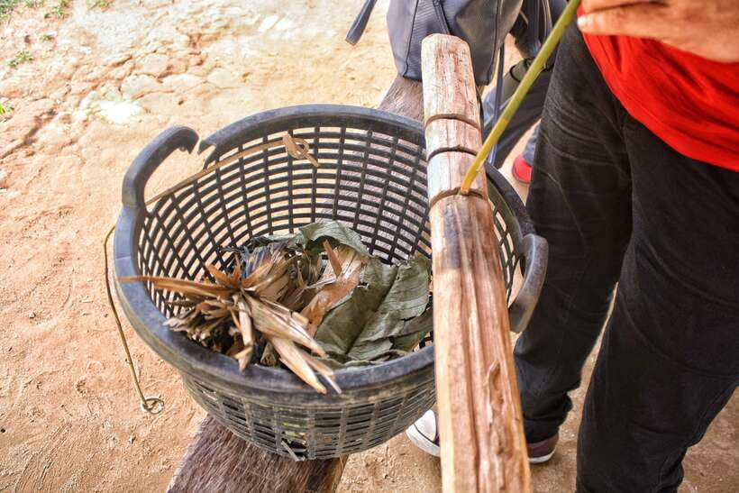 From Kuala Lumpur: Taman Negara National Park Trek Day Tour - Rapid shooting on the Tembeling River