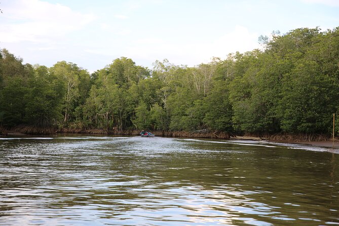 Full Day Bongawan River Cruise with Proboscis Monkey Sightseeing - The first boat ride for monkeys and river wildlife