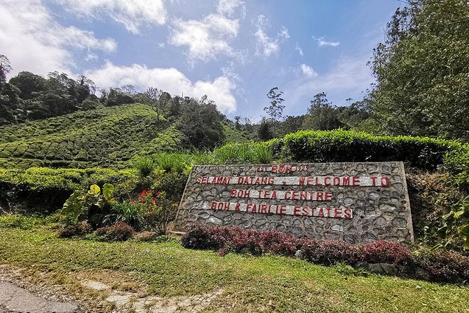 Full-day Cameron Highlands Day Trip from Kuala Lumpur - Big Red Strawberry Farm shows the highlands’ farming side