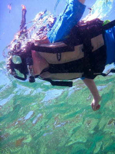 Full-Day Guided Snorkeling Tour from Kota Kinabalu