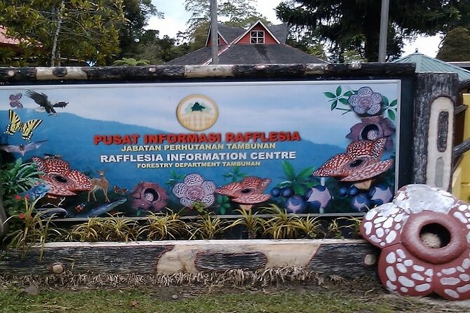 Full Day JomTour! Memorable Experience in Kota Kinabalu, Sabah - The guide makes the difference