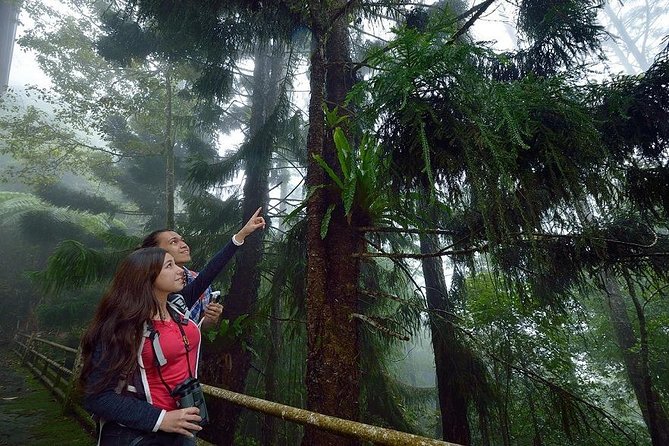 Full-Day Kinabalu Park and Poring Hot Spring Day Trip - Why this Sabah day trip works