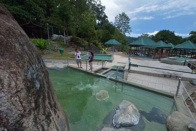 Full-Day Kinabalu Park and Poring Hot Spring Day Trip - The 41-meter canopy walkway