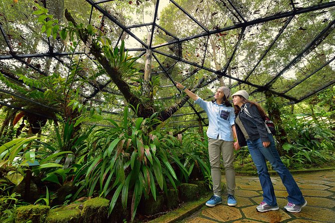 Full-Day Kinabalu Park and Poring Hot Spring Day Trip - Two hours among Kinabalu Park’s plant life