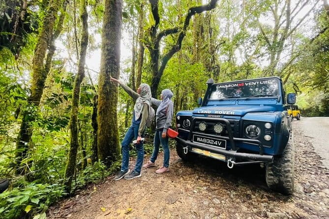 Full Day Mossy Forest Experience - Key details to know before you go