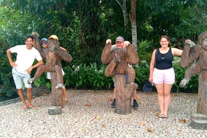 Full Day Orang Utan Sepilok, Proboscis Monkey, Sunbear, RDC - Key points to know before you go