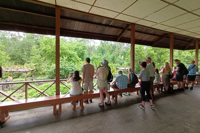 Full-Day Sepilok Orangutan and Proboscis Monkey from Sandakan or Kota Kinabalu - Is the $188 Price Fair?
