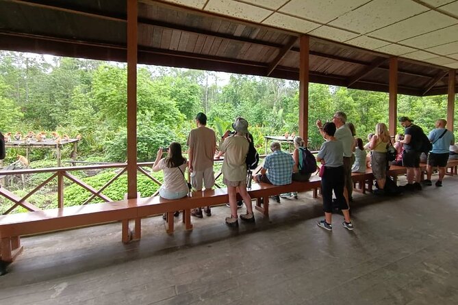 Full-Day Sepilok Orangutan and Sandakan City Trail from Kota Kinabalu - Why Sepilok makes this day worth the early alarm