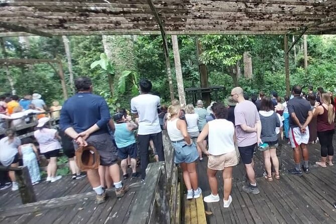 Full-Day Sepilok Orangutan and Sandakan City Trail from Kota Kinabalu - Who will enjoy this combination most