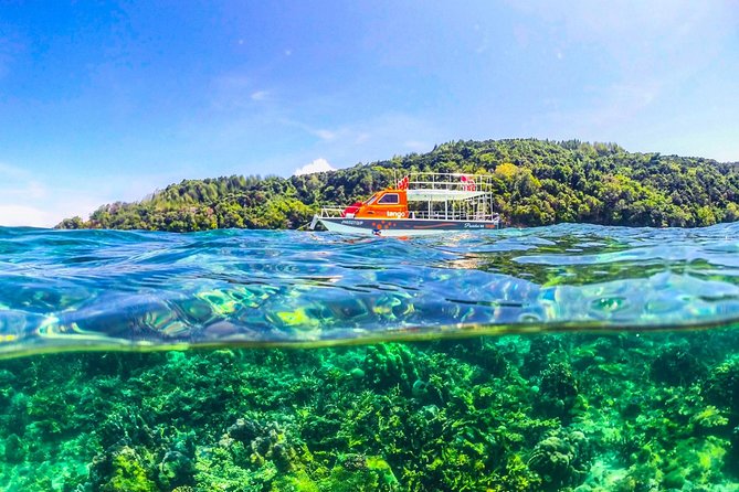 Fun Boat Snorkeling and Island Visit from Kota Kinabalu - Who will enjoy this Kota Kinabalu boat day