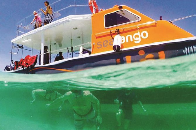 Fun Boat Snorkeling and Island Visit from Kota Kinabalu - What the two snorkeling stops offer
