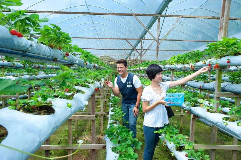 Genting Highland: Private Day Trip from Kuala Lumpur - What the private format is worth at $106