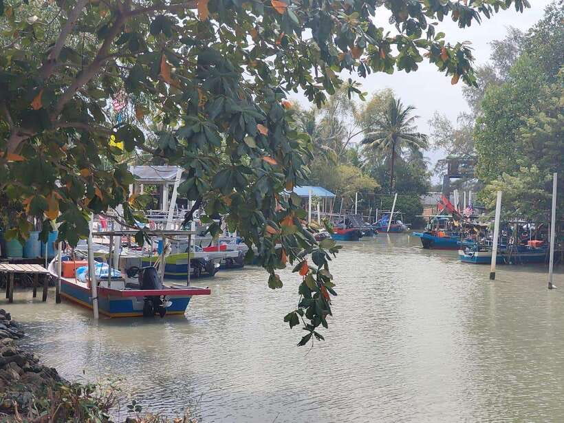 George Town: Balik Pulau Countryside Morning Cycling Tour - What $47 buys you