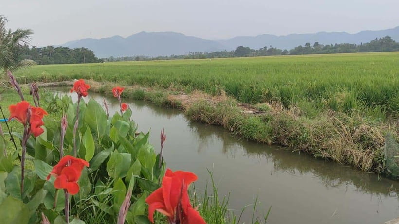 George Town: Balik Pulau Countryside Morning Cycling Tour - Why Balik Pulau is worth leaving George Town for