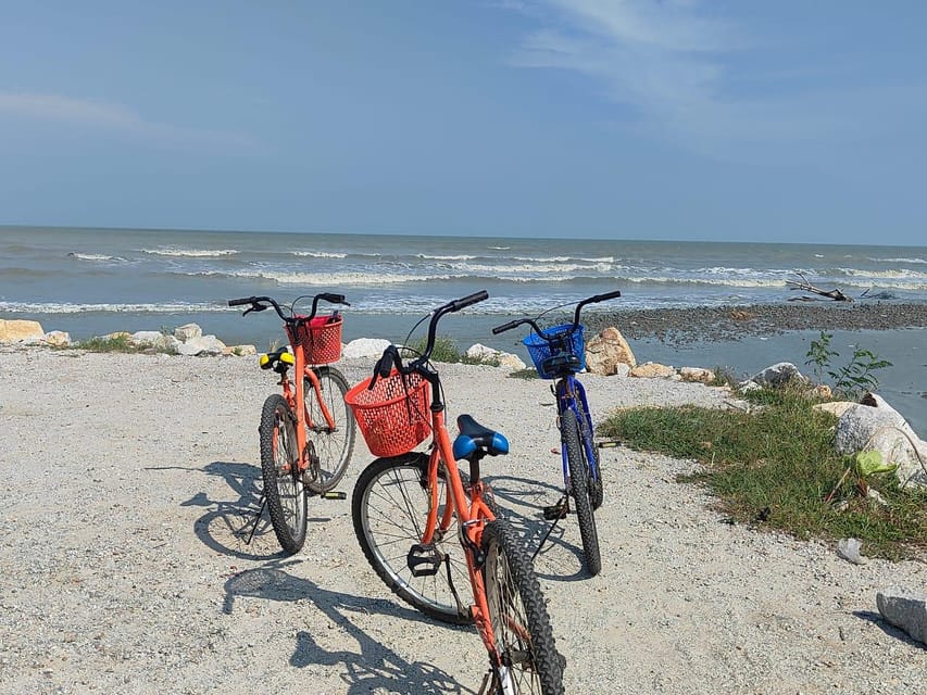 George Town: Balik Pulau Countryside Morning Cycling Tour - Two hours through paddy fields and village roads