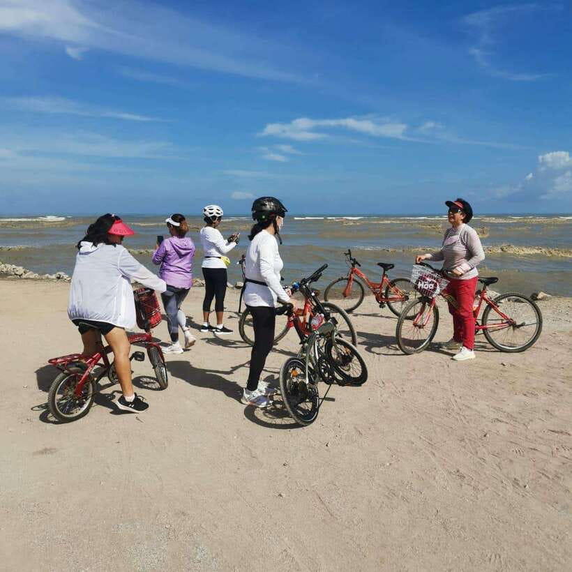 George Town: Balik Pulau Countryside Morning Cycling Tour - The container art and colorful roadside sights
