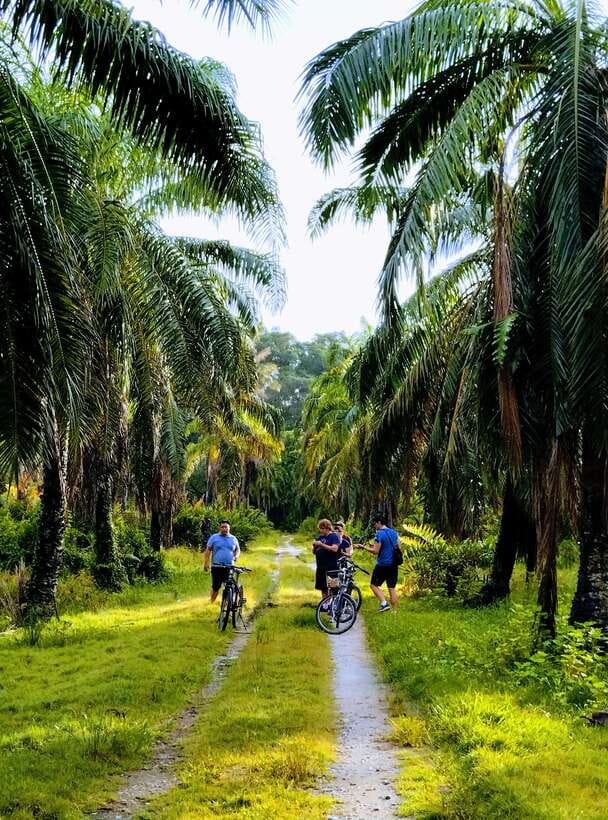 George Town, Penang: Malay Countryside Cycling - Leaving George Town for Balik Pulau