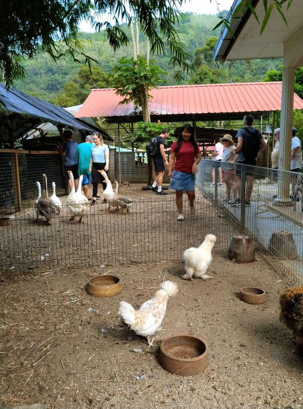 George Town, Penang: Malay Countryside Cycling - Traditional villages, canals, and working countryside