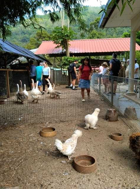 George Town, Penang: Malay Countryside Cycling - How much value do you get for $33?