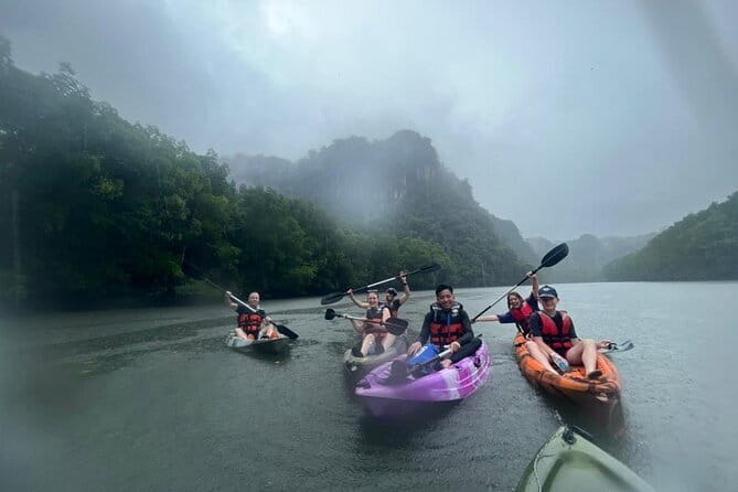 Half-day 4 Hours Kilim Mangrove Kayaking (Without hotel pickups) - Who will enjoy this Langkawi kayak tour