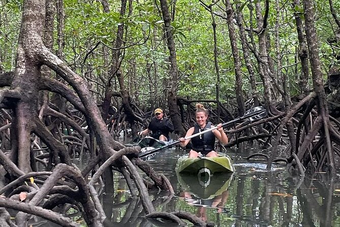 Half-Day Geopark Mangrove Kayaking Adventure - Key points to know before you go