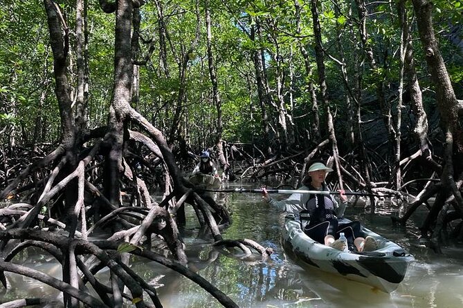 Half-Day Geopark Mangrove Kayaking Adventure - Paddling into the first mangrove channel