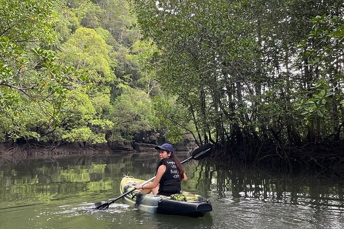 Half-Day Geopark Mangrove Kayaking Adventure - Eagle country and the limestone scenery