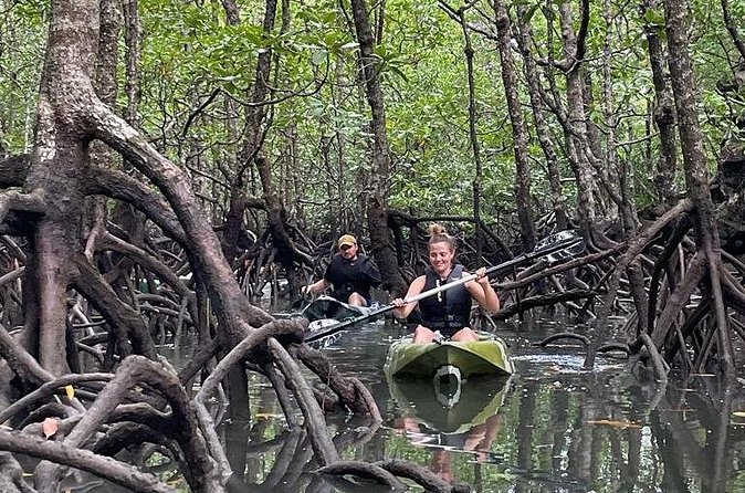 Half-Day Geopark Mangrove Kayaking Adventure - The second channel adds some effort