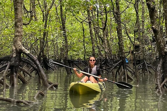 Half-Day Geopark Mangrove Kayaking Adventure - Lunch at the fish farm