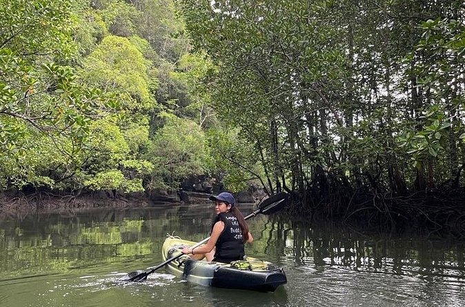 Half-Day Geopark Mangrove Kayaking Adventure - Is $67.68 a fair price?